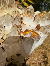 Quartz Specimen - 1241g