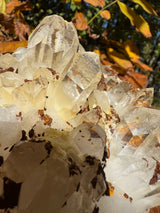 Quartz Specimen - 1241g