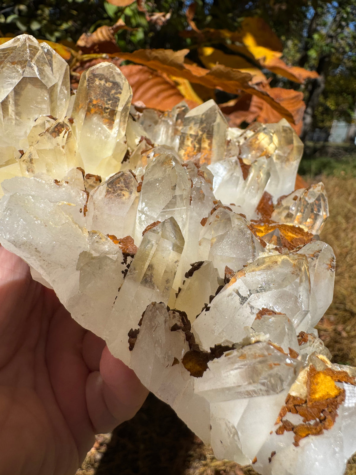 Quartz Specimen - 1241g