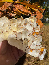 Quartz Specimen - 1241g