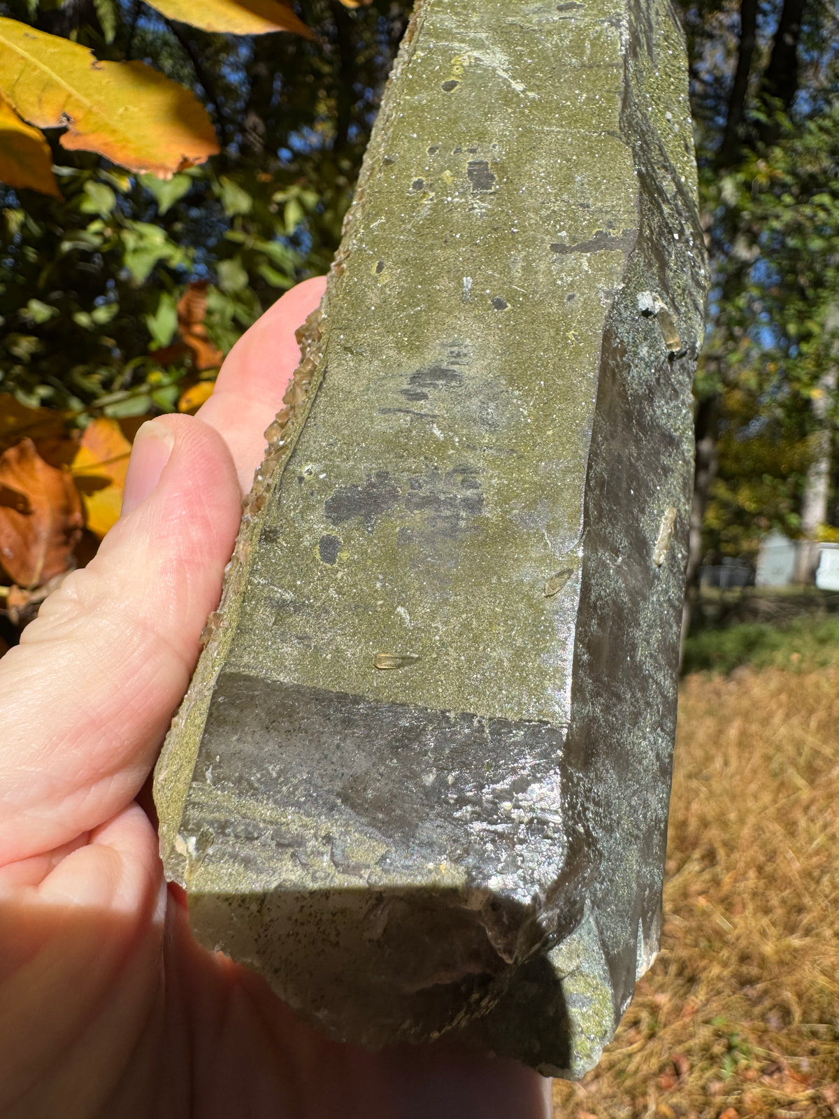 Quartz Specimen - 773g