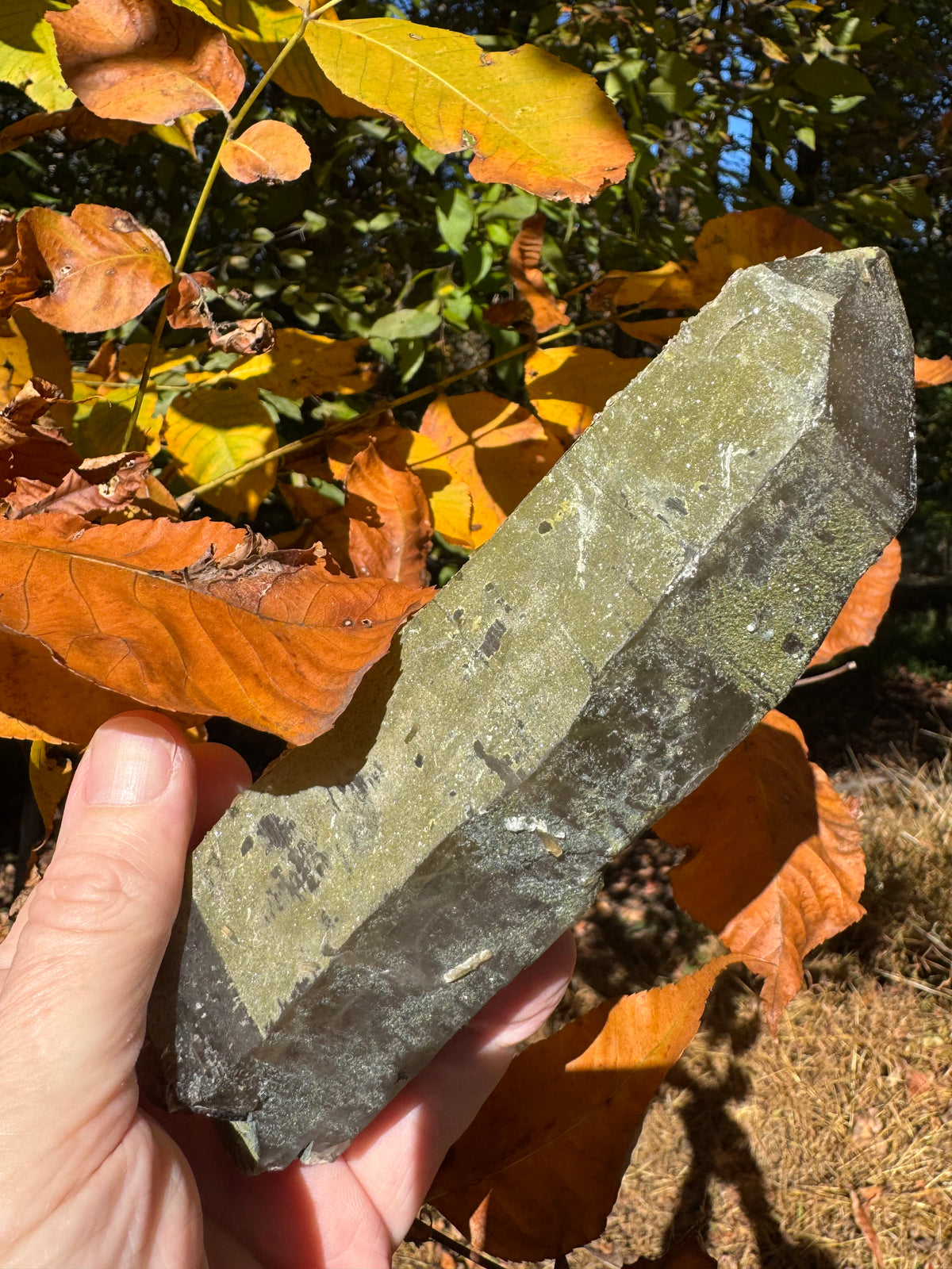 Quartz Specimen - 773g