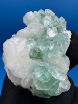 Green Apophyllite - 252g