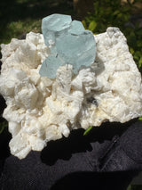 Aquamarine Specimen - 253g