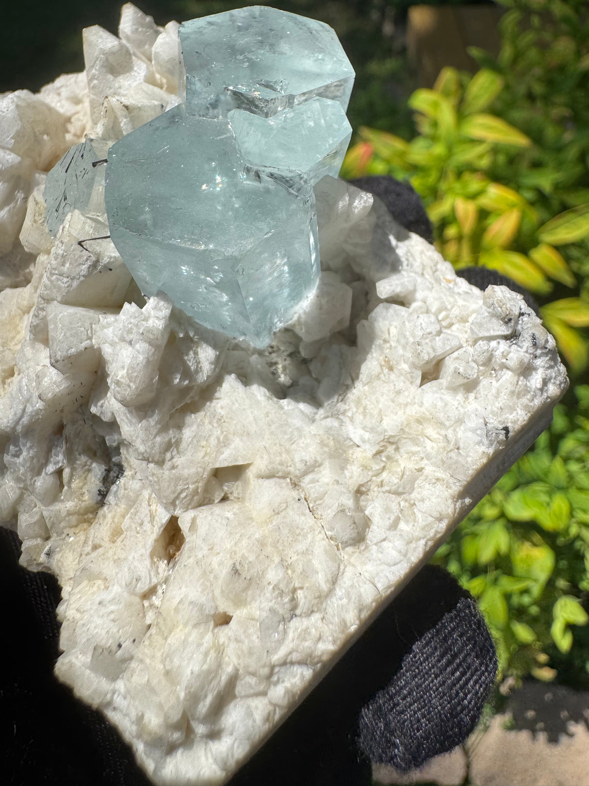 Aquamarine Specimen - 253g