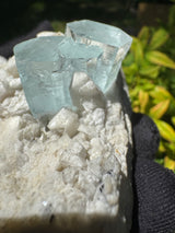 Aquamarine Specimen - 253g