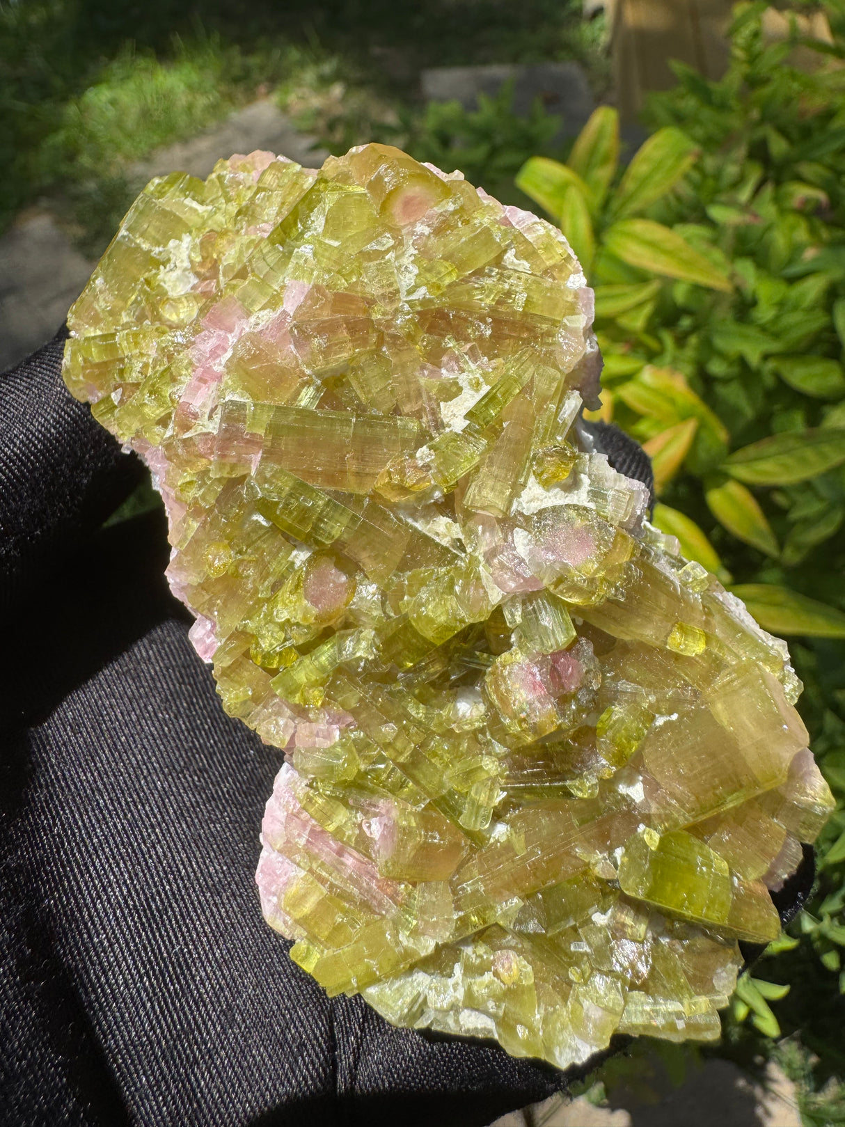 Watermelon Tourmaline Specimen - 227g