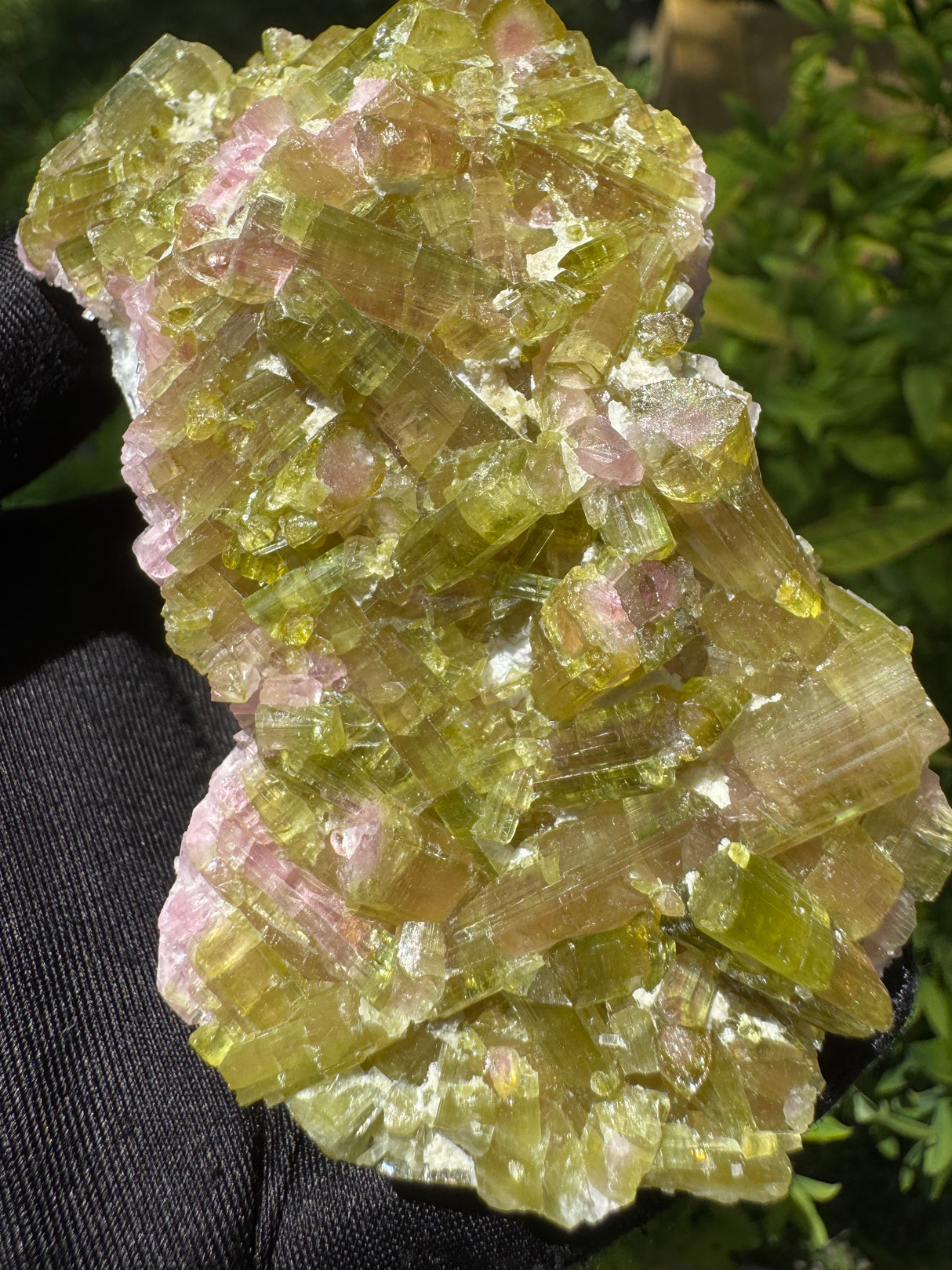 Watermelon Tourmaline Specimen - 227g