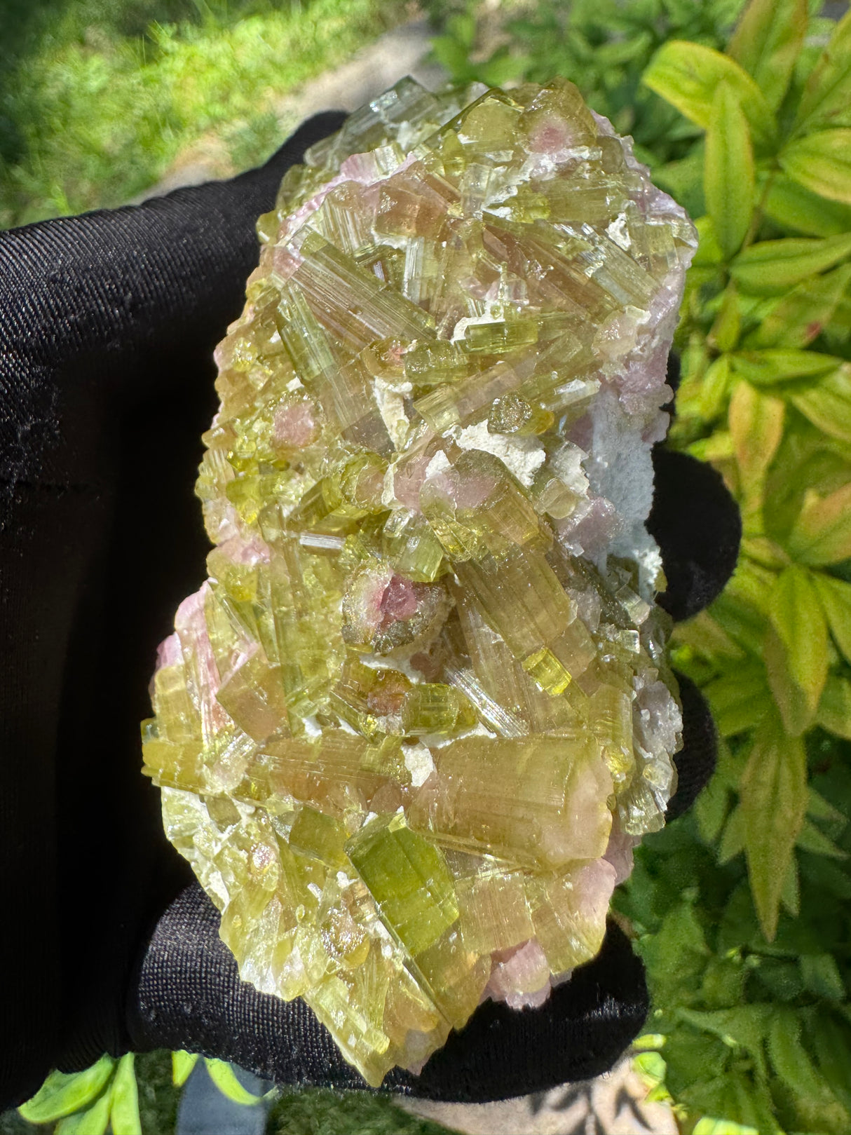 Watermelon Tourmaline Specimen - 227g