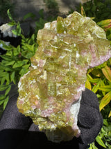 Watermelon Tourmaline Specimen - 227g
