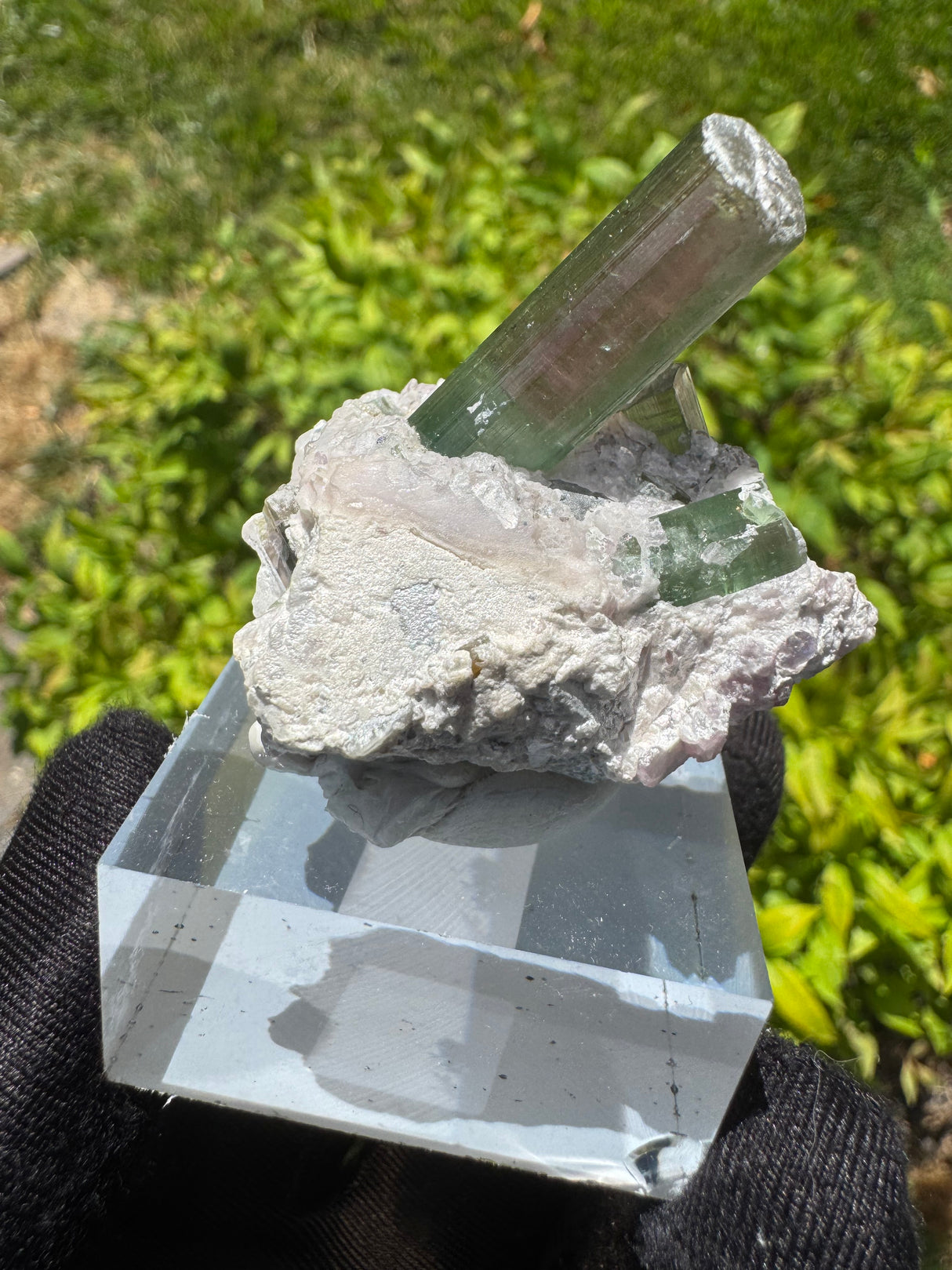 Watermelon Tourmaline Specimen - 34g