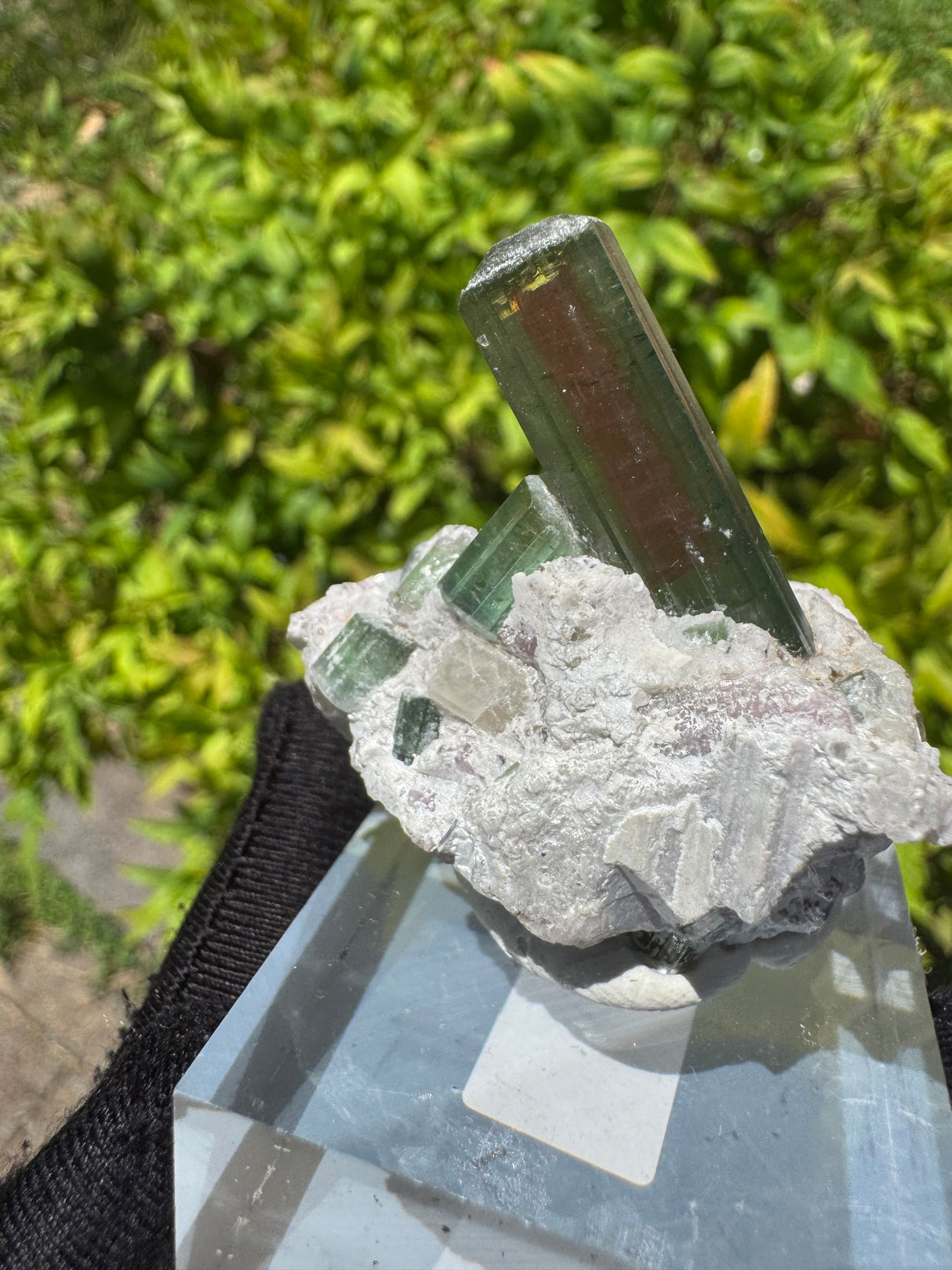 Watermelon Tourmaline Specimen - 34g