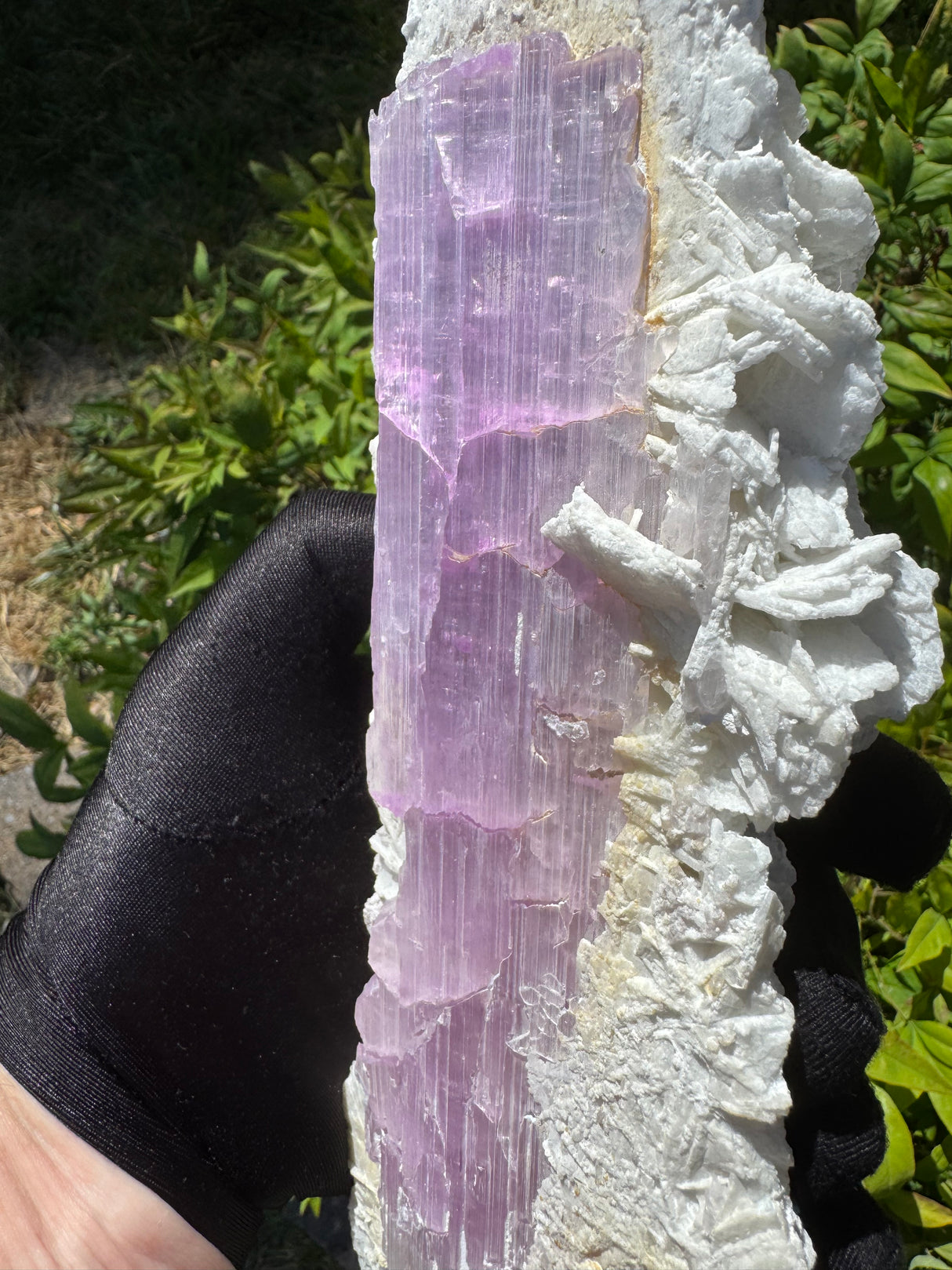 Kunzite Specimen - 1400g