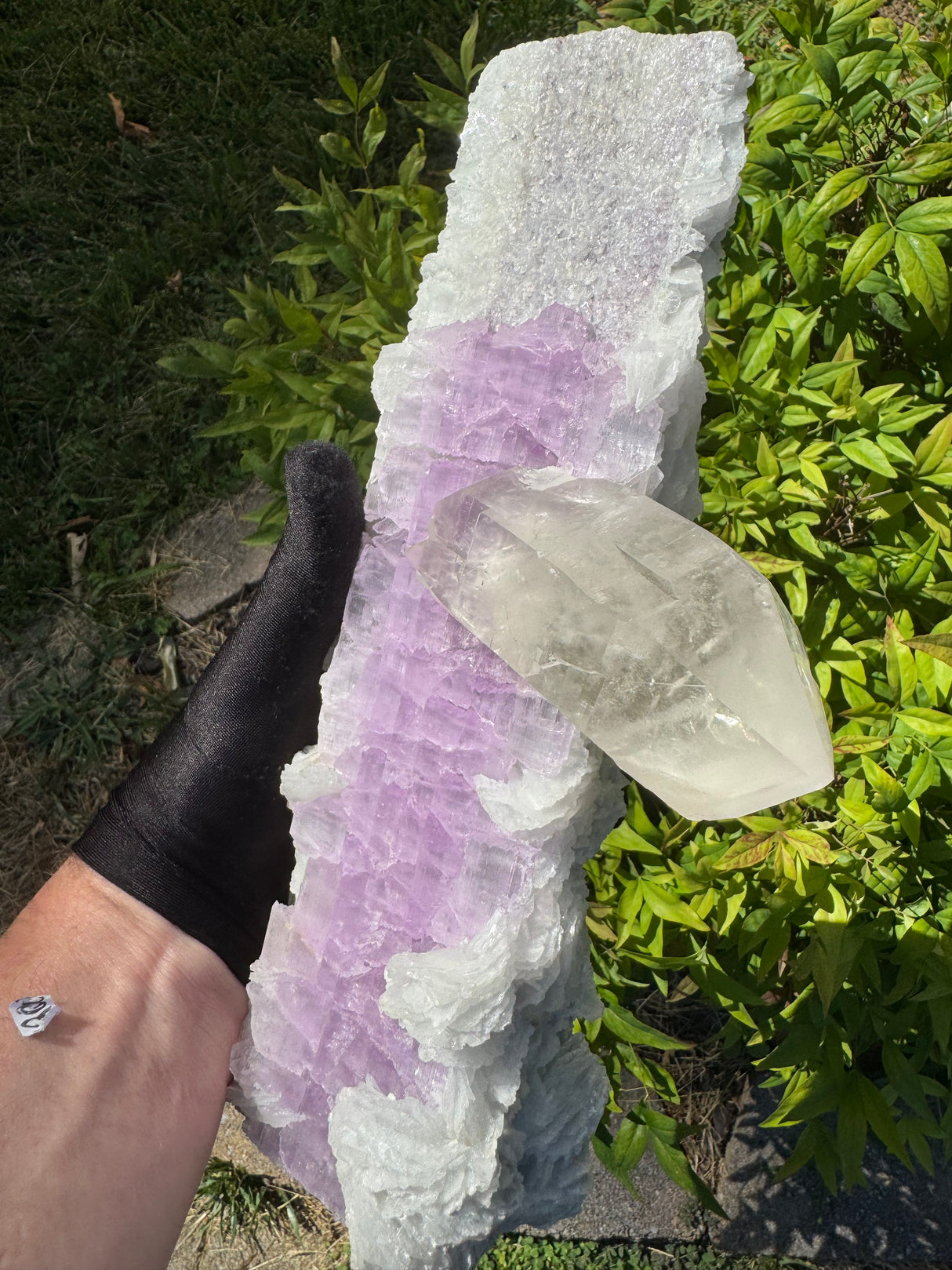 Kunzite Specimen - 2004g