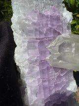 Kunzite Specimen - 2004g