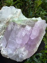 Kunizte and Tourmaline Specimen - 1674g
