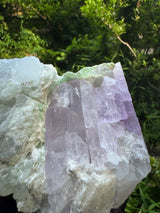 Kunizte and Tourmaline Specimen - 1674g