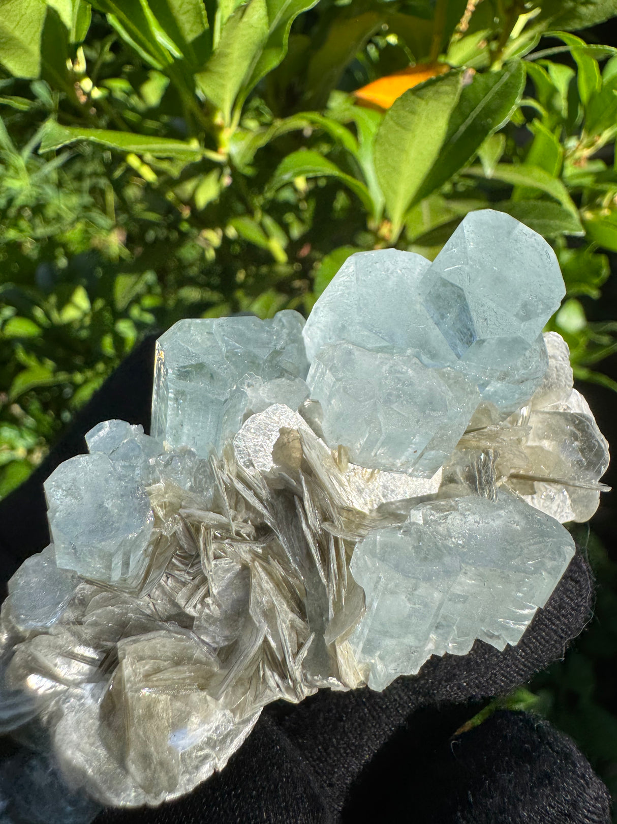 Aquarmarine Specimen - 101g