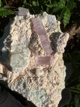 Kunzite Specimen - 1159g