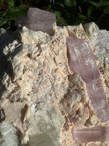 Kunzite Specimen - 1159g