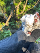 Garnet on Star Mica Specimen - 33g