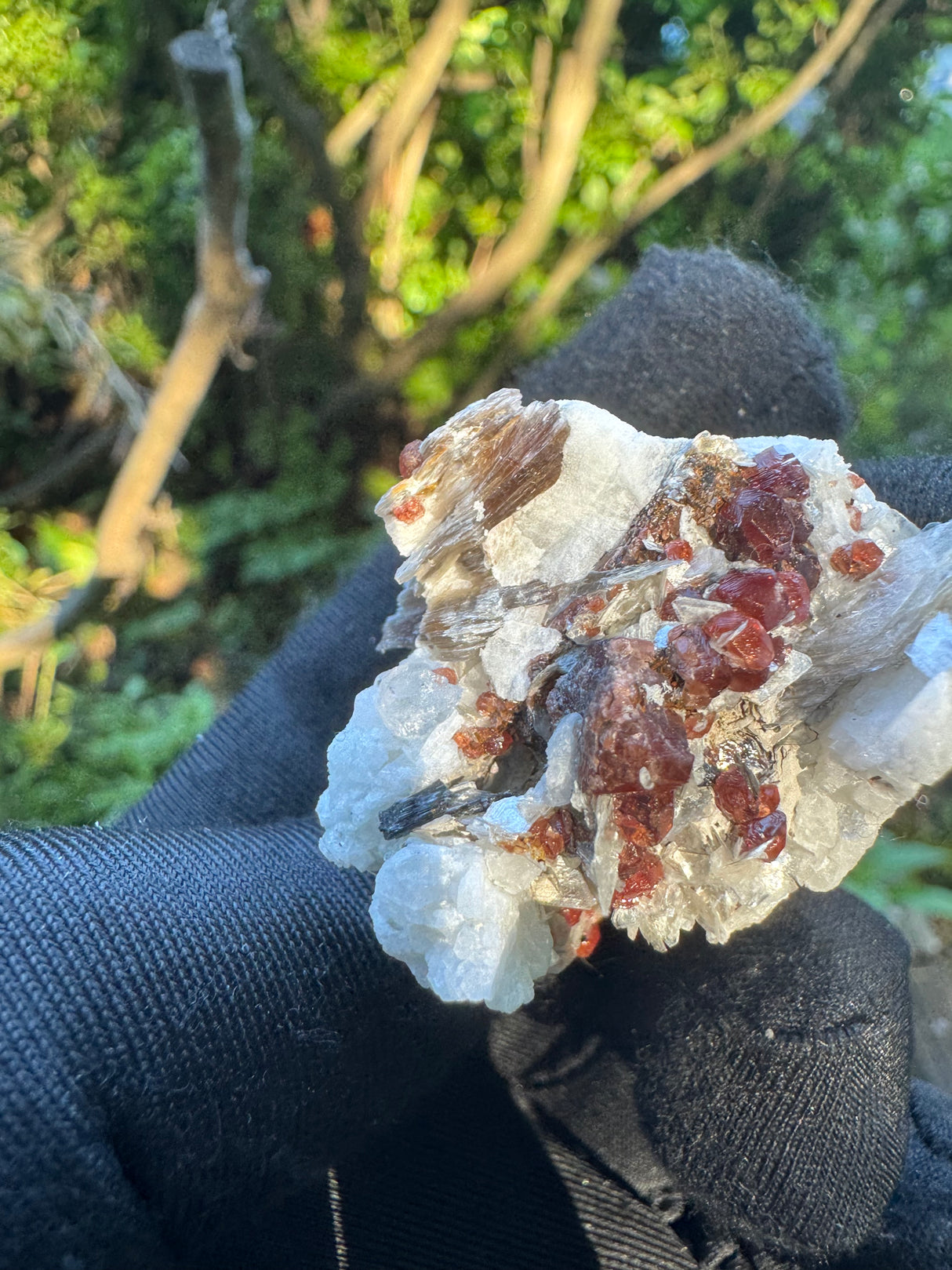 Garnet on Star Mica Specimen - 33g