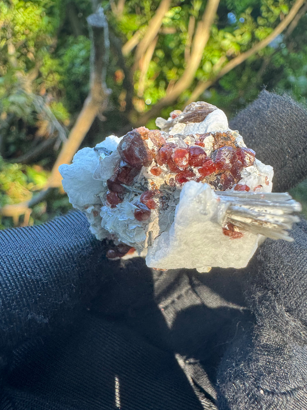 Garnet on Star Mica Specimen - 33g