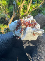 Garnet on Star Mica Specimen - 33g