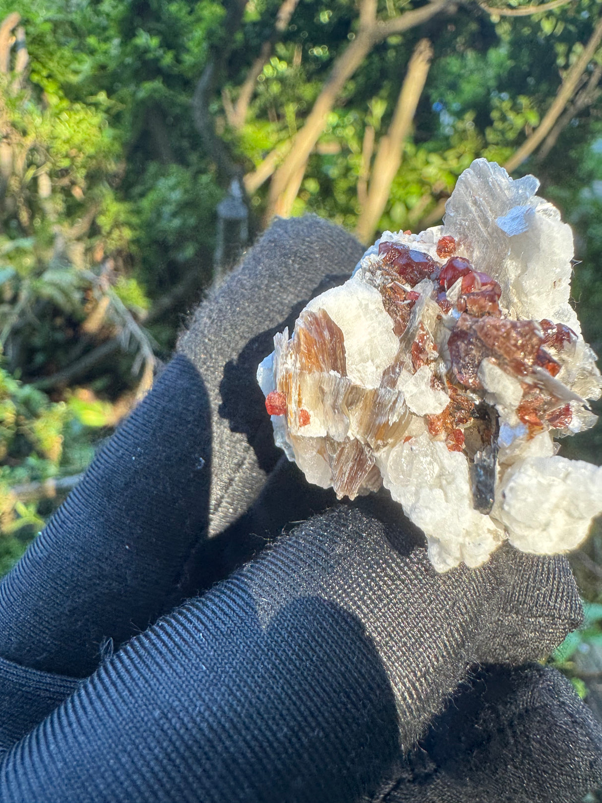 Garnet on Star Mica Specimen - 33g
