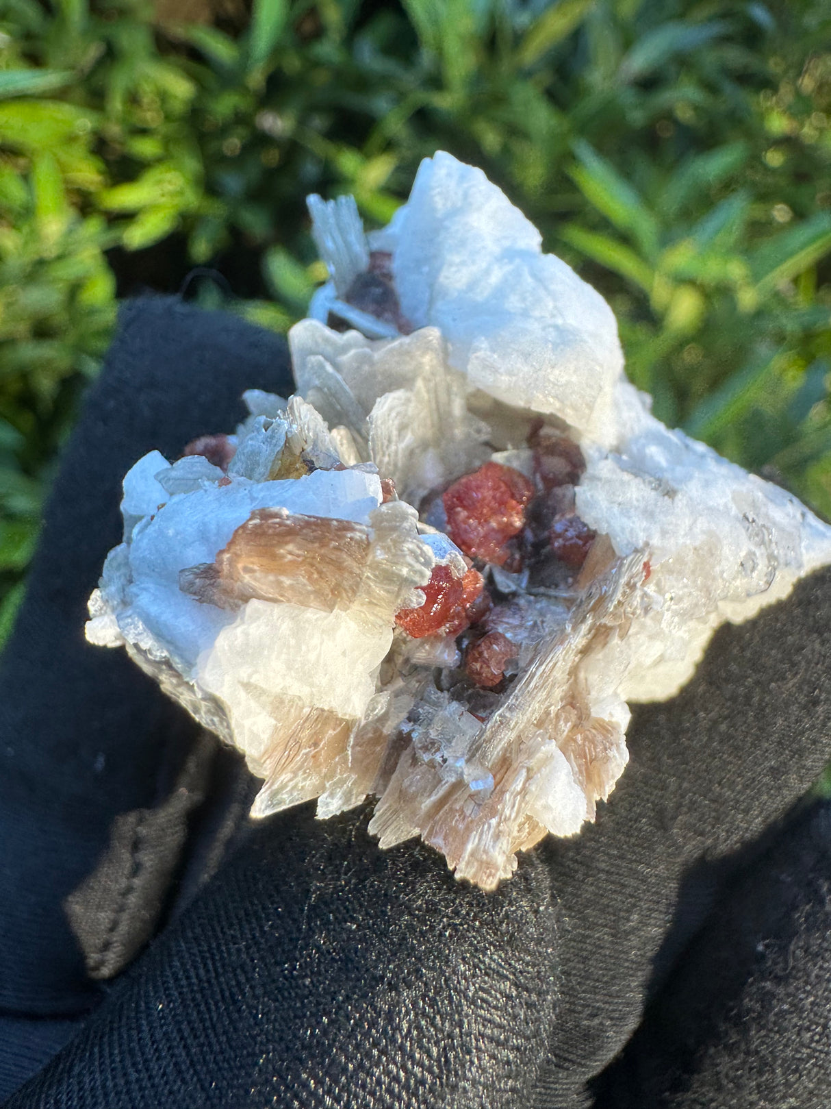 Garnet on Star Mica Specimen - 39g