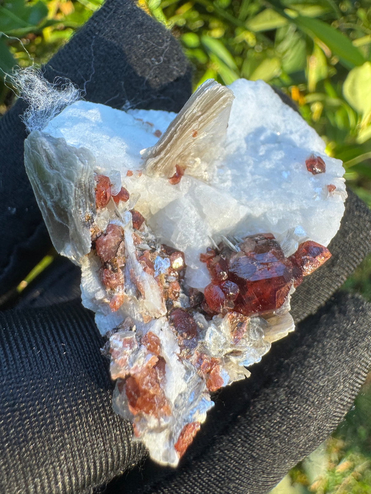 Garnet on Star Mica Specimen - 28g