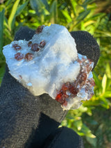 Garnet on Star Mica Specimen - 13g