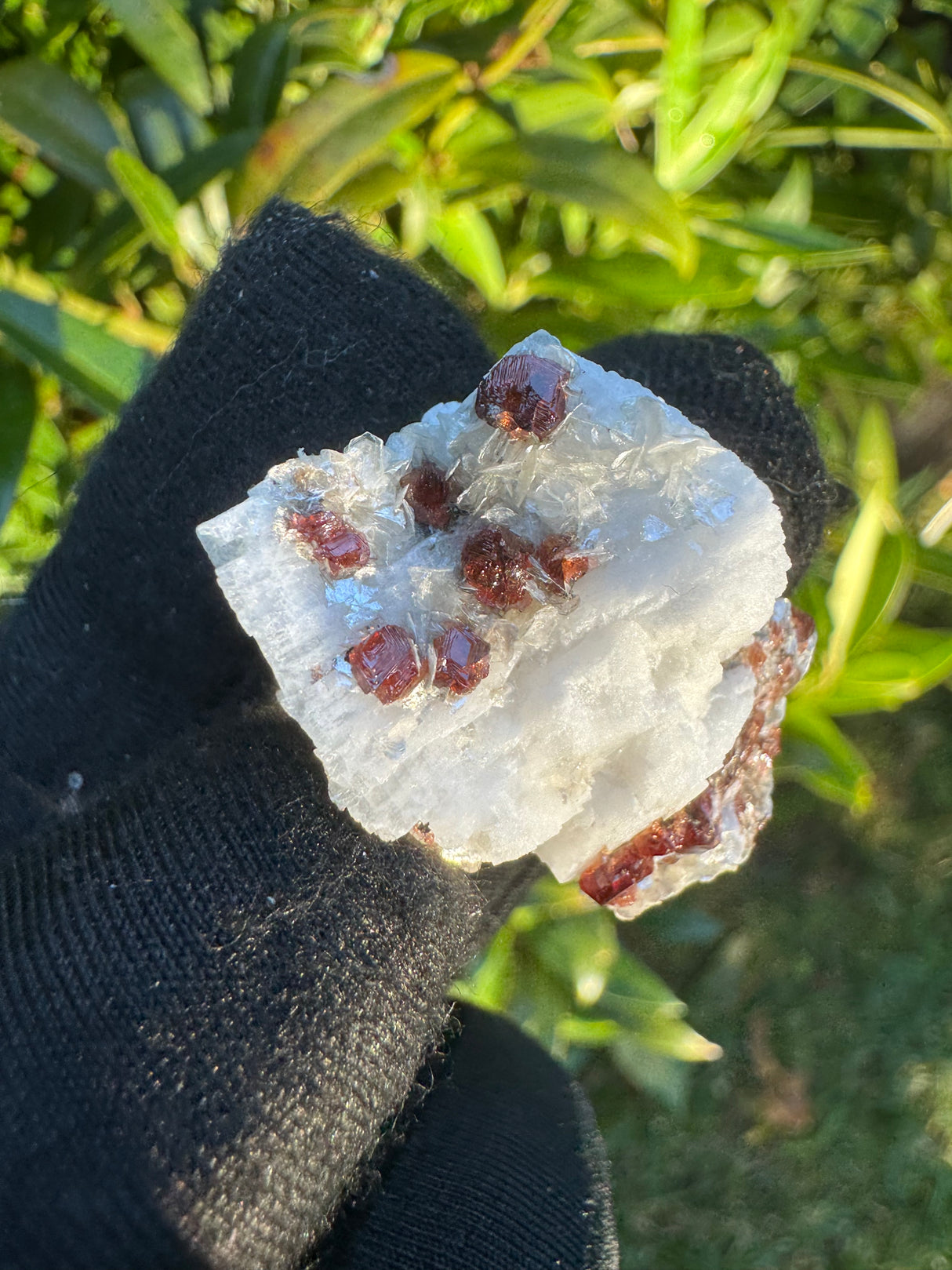 Garnet on Star Mica Specimen - 13g