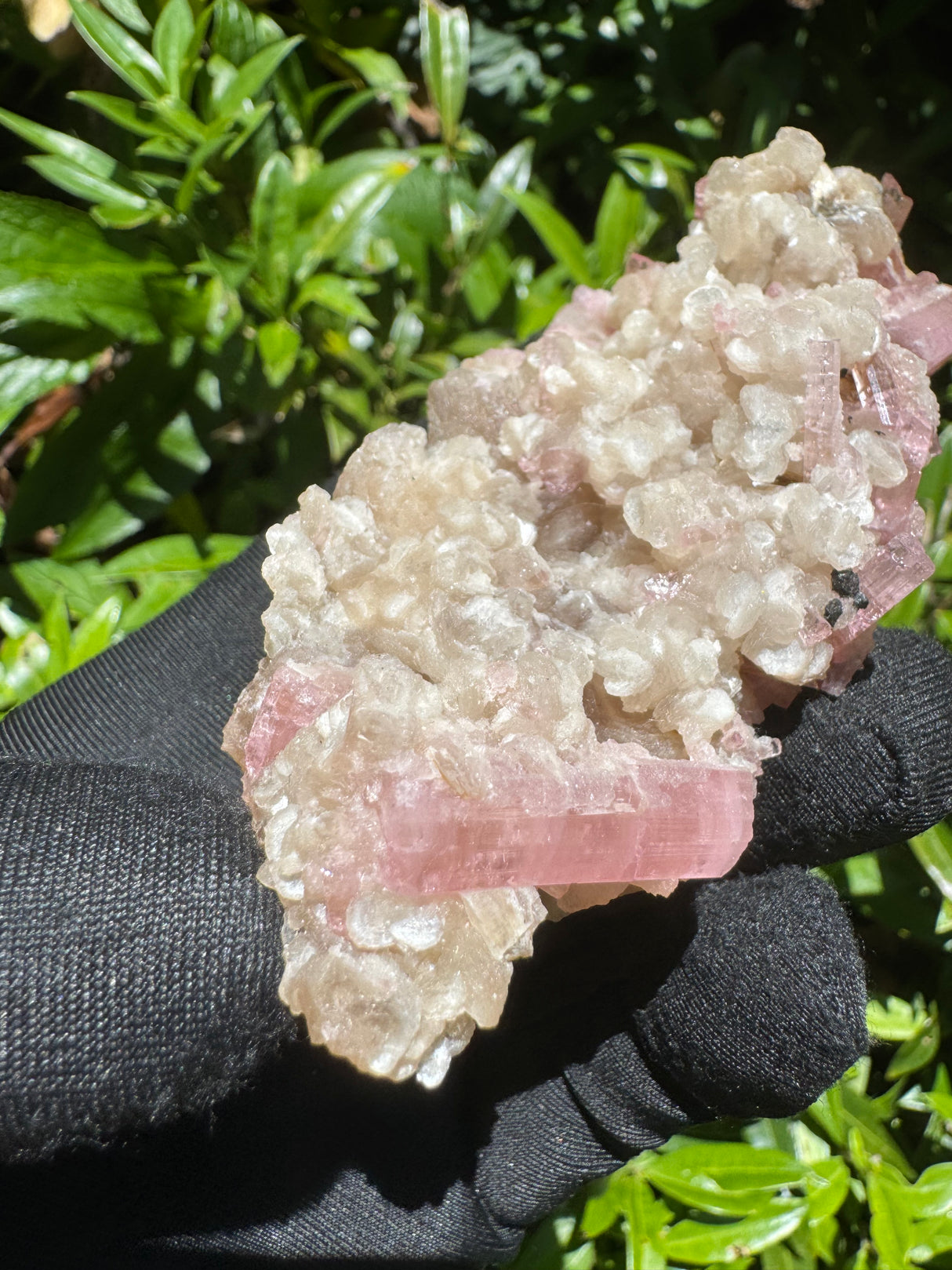 Pink Tourmaline Specimen - 115g