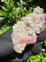 Pink Tourmaline Specimen - 115g