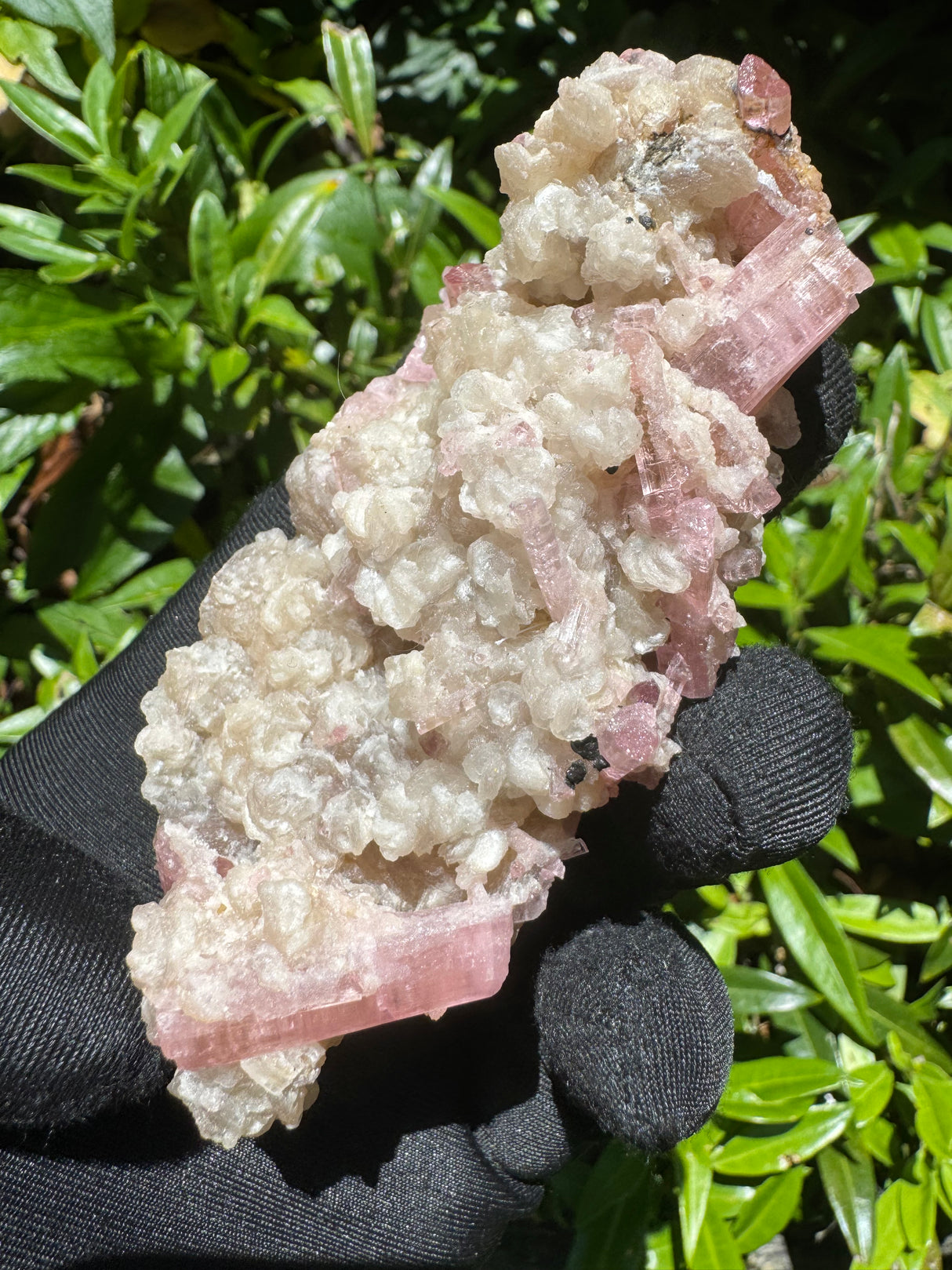 Pink Tourmaline Specimen - 115g