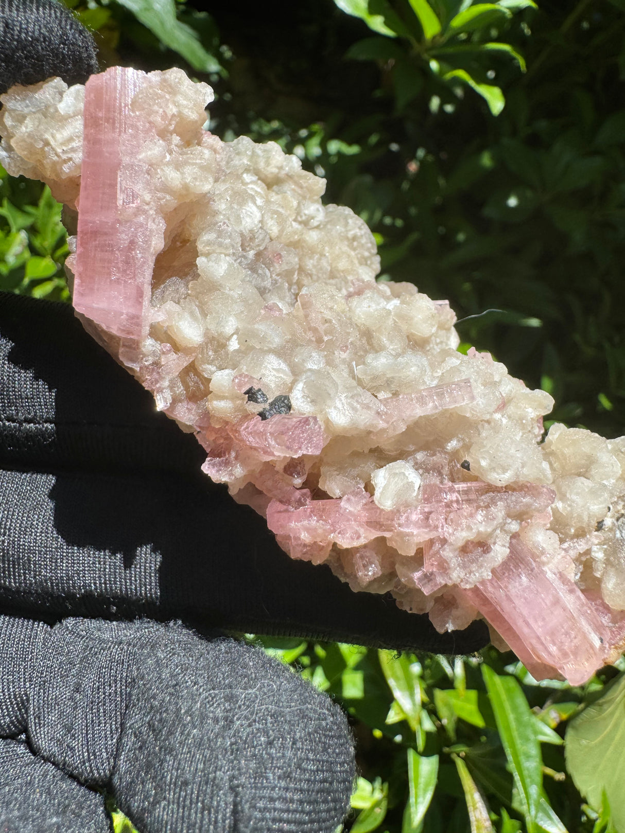 Pink Tourmaline Specimen - 115g