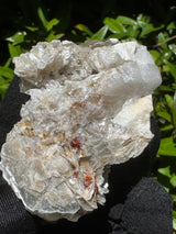Garnet on Star Mica Specimen - 40g