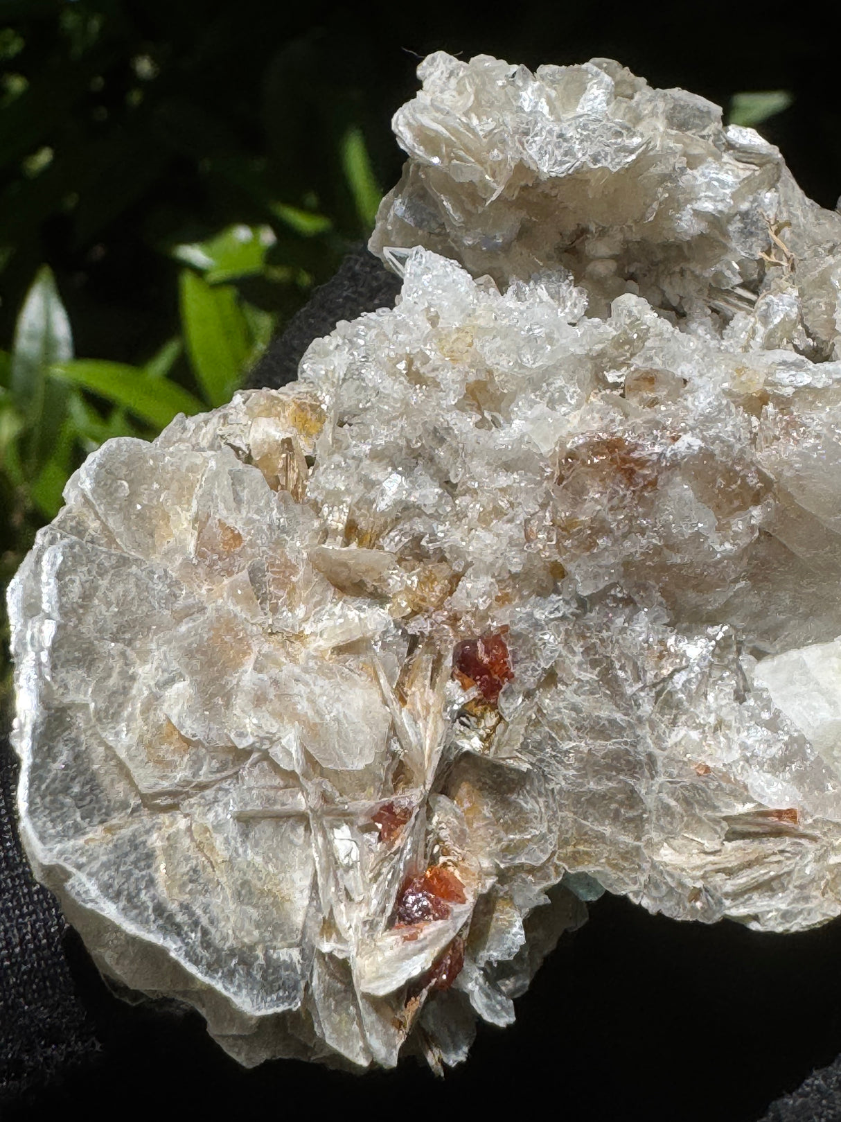 Garnet on Star Mica Specimen - 40g