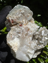 Garnet on Star Mica Specimen - 40g