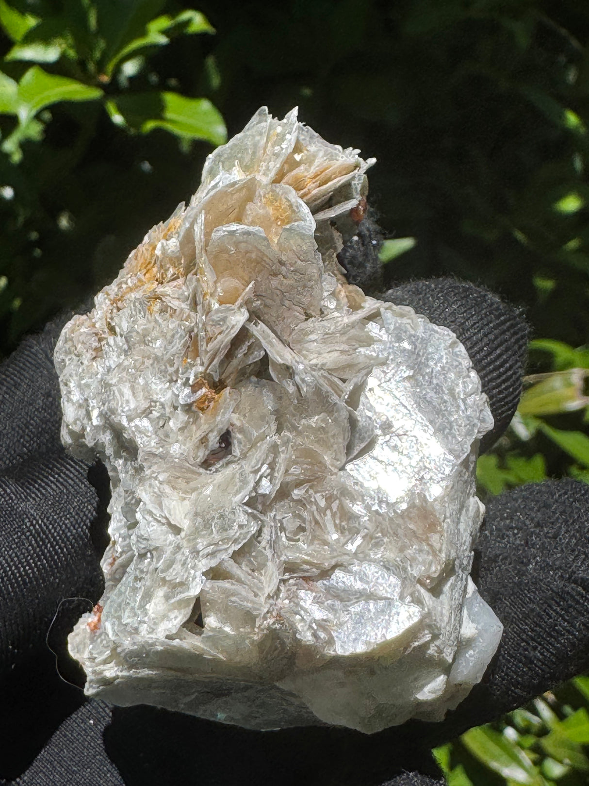 Garnet on Star Mica Specimen - 40g