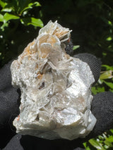 Garnet on Star Mica Specimen - 40g