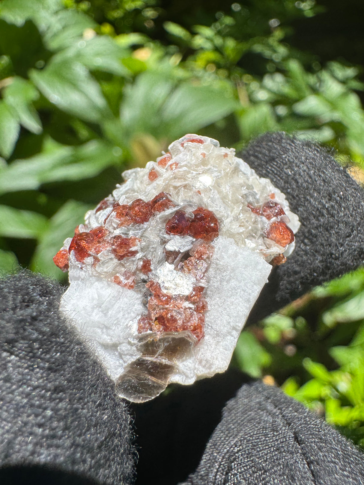 Garnet on Star Mica Specimen - 15g