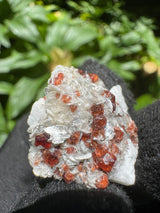 Garnet on Star Mica Specimen - 15g