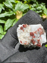 Garnet on Star Mica Specimen - 15g