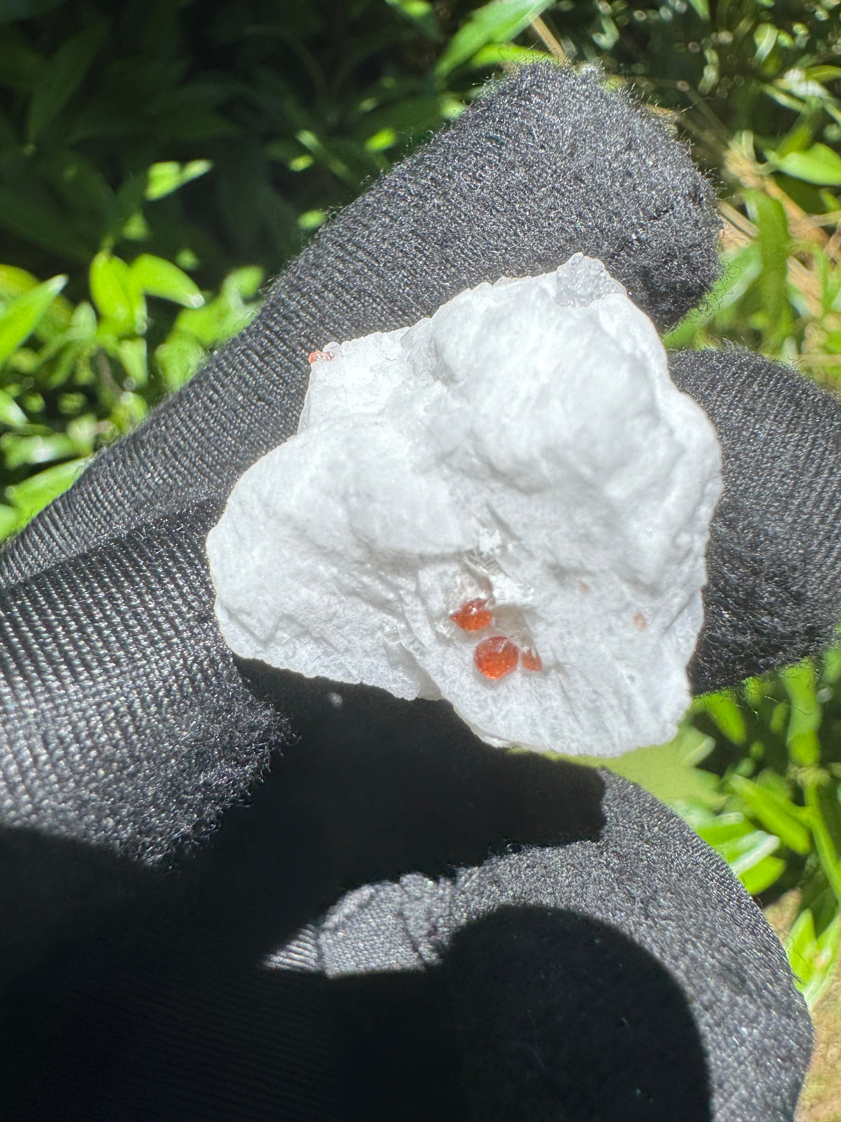 Garnet on Star Mica Specimen - 5g