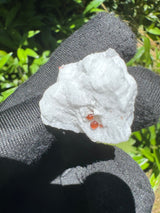Garnet on Star Mica Specimen - 5g