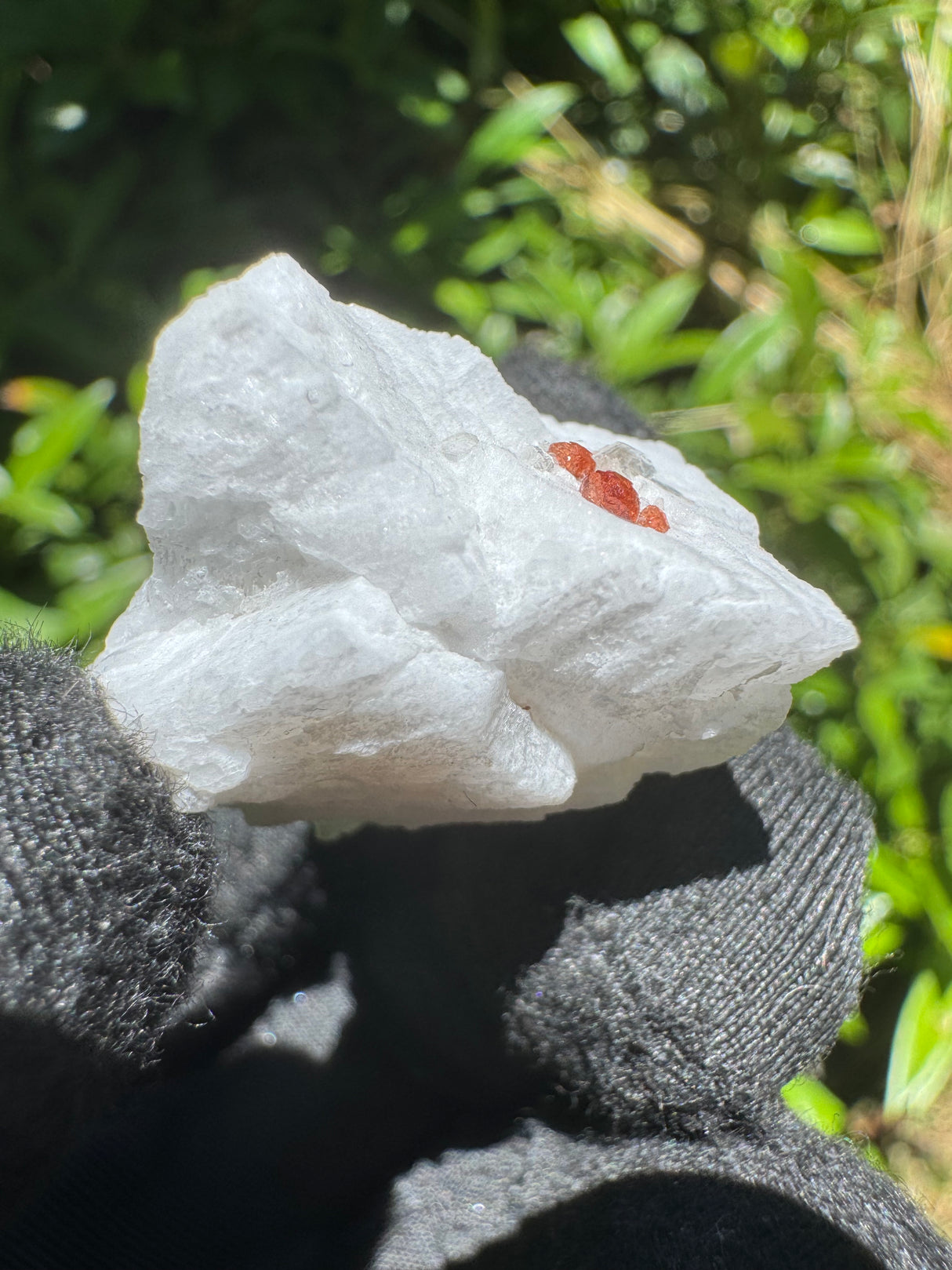 Garnet on Star Mica Specimen - 5g