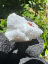 Garnet on Star Mica Specimen - 5g