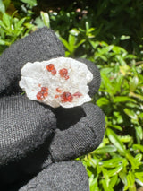 Garnet on Star Mica Specimen - 9g